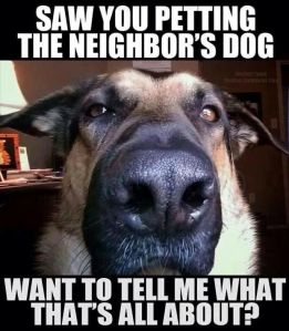 petting the neighbor's dog